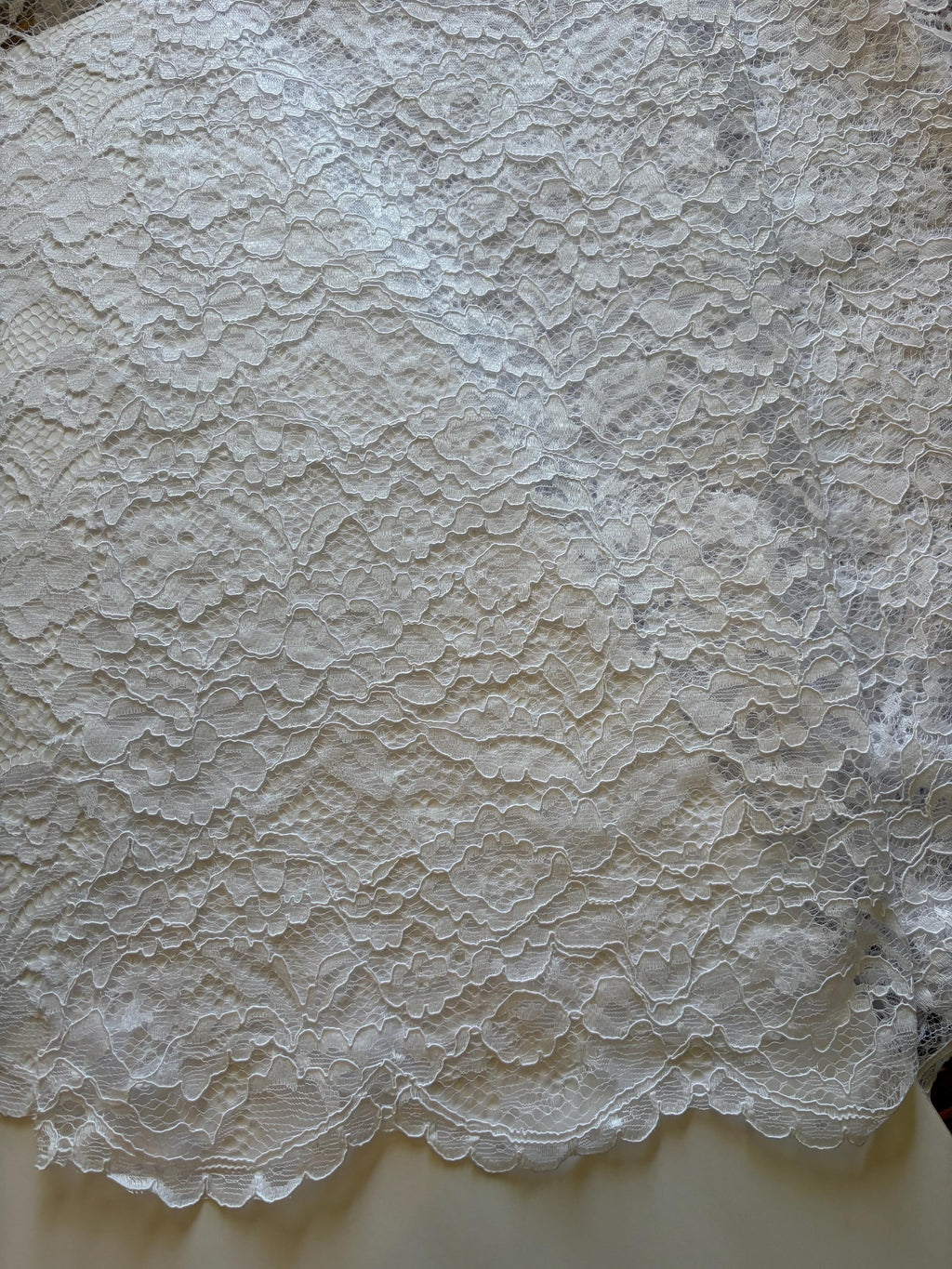 Bridal Lace Fabric - White - 49" Width - C